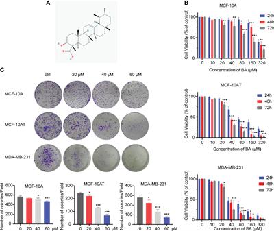 β-Boswellic Acid Suppresses Breast Precancerous Lesions via GLUT1 Targeting-Mediated Glycolysis Inhibition and AMPK Pathway Activation